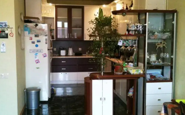 Green Apartmnet on Shenchenko