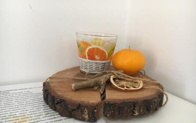 Novacitrus Otel Sigacik