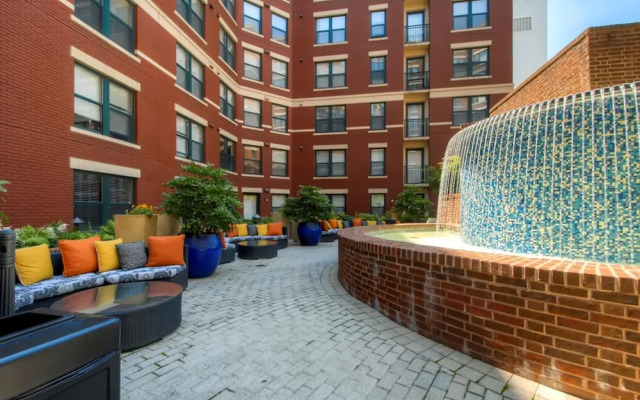 Bluebird Suites in the Heart of DC