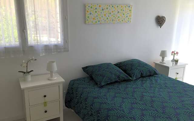 Entre olivier et mimosa