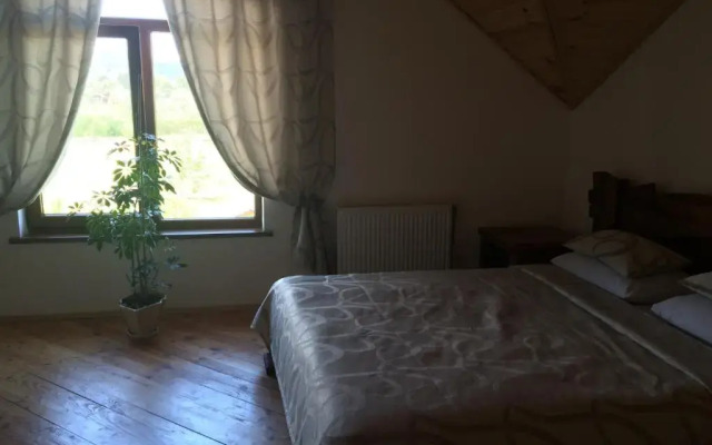 VIP House