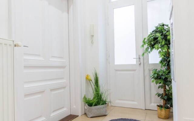 Dfive Apartments - Vizsla