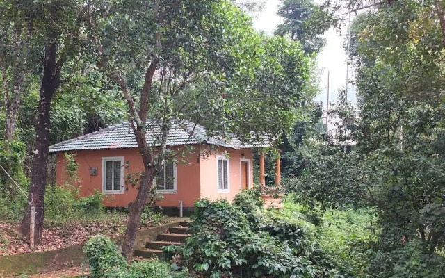 Jungle Valley Resort