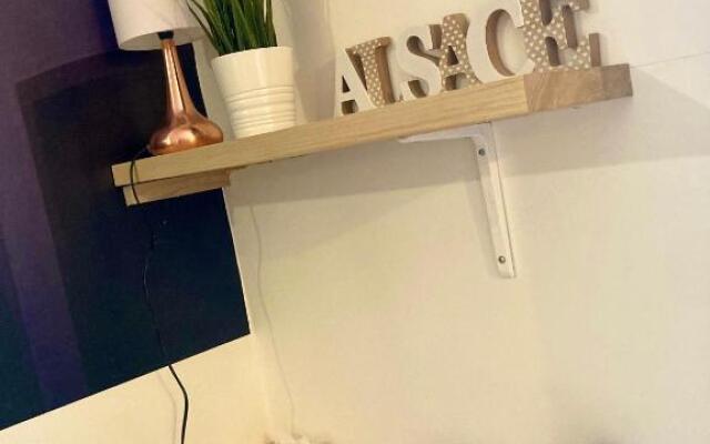 * Le Garden * Studio * Centre-ville Mulhouse