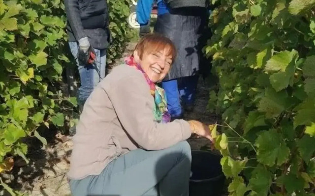 Le Moulin de Bacchus