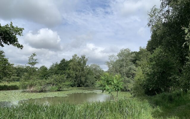 Wensum Glamping
