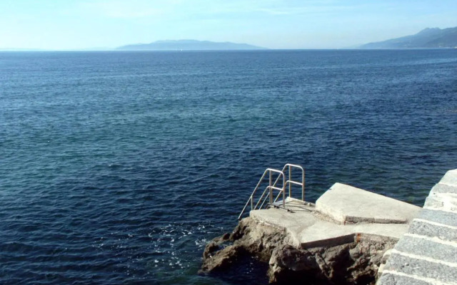Apartments by the sea Opatija - Volosko, Opatija - 7846