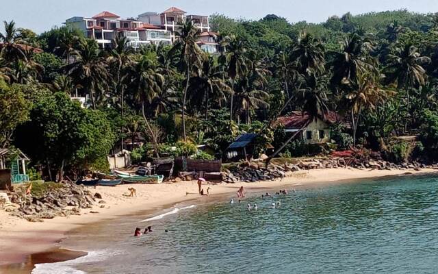 Surf Paradise Hotel