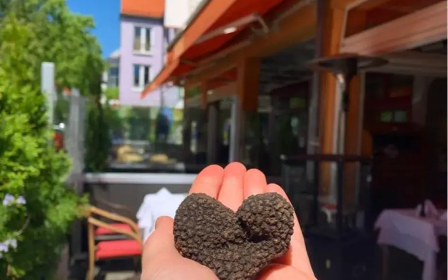 Hotel Ristorante La Terrazza