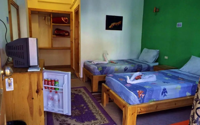 Star Of Dahab