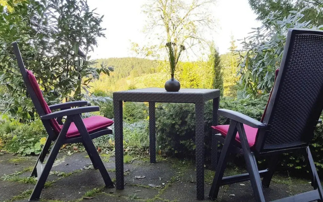 Apartment for 4 in Altenau