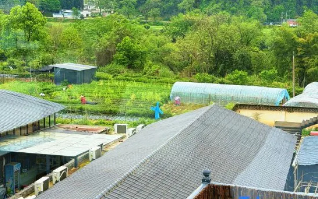 Half-Day Leisure · Free Courtyard (Baoyu Tower Branch, Wuyuan) – Outside – Shangrao