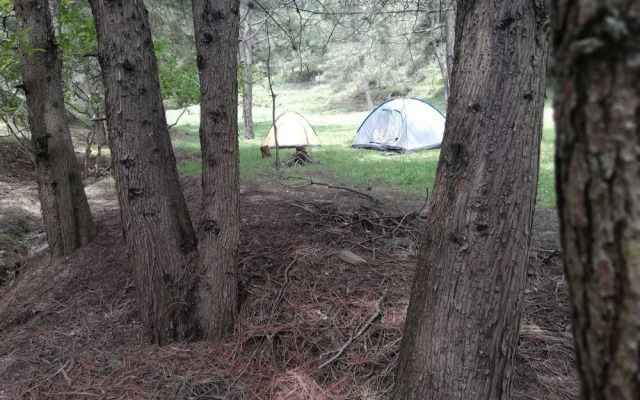 Casa Don Gil - Campsite