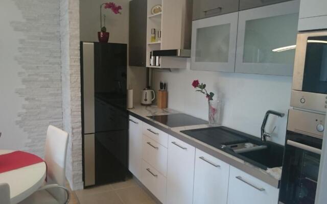 Luxury Apartment