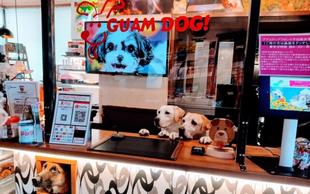 Hakone Gora Guam Dog
