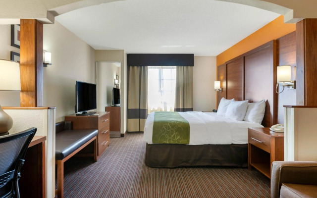 Comfort Suites Stevensville - St. Joseph