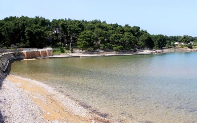 Dari - 120 m From sea - SA4