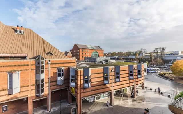 Luxurious Modern One Bedroom Apartment