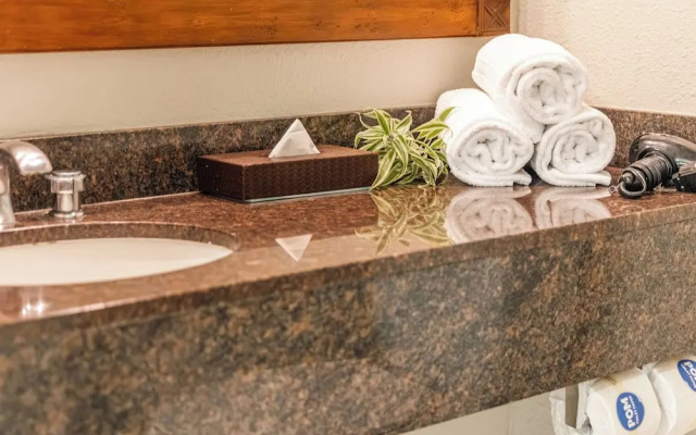 Luana Waikiki by Tropical Escapes Realty