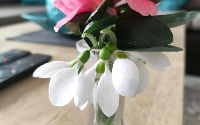 Strandfürdő Apartman