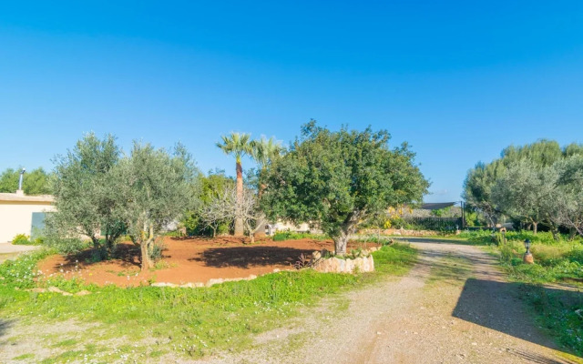 Sa Tanqueta De Ses Roques