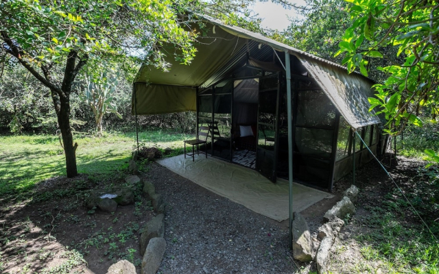 Punda Milias Nakuru Camp