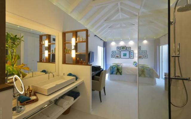 Dream Villa Anse des Cayes 864