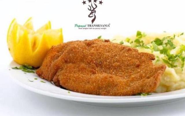 Popasul Transilvania