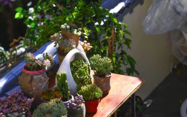 Yunnan Zhu Boutique Homestay