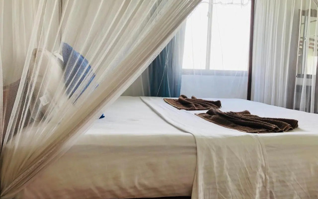 Surf Paradise & Cabana