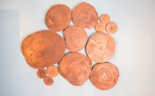 Y.Palmela - Boutique Apartments