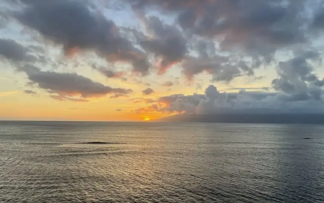 Unforgettable Oceanfront Stay Nature Luxury Tranquility