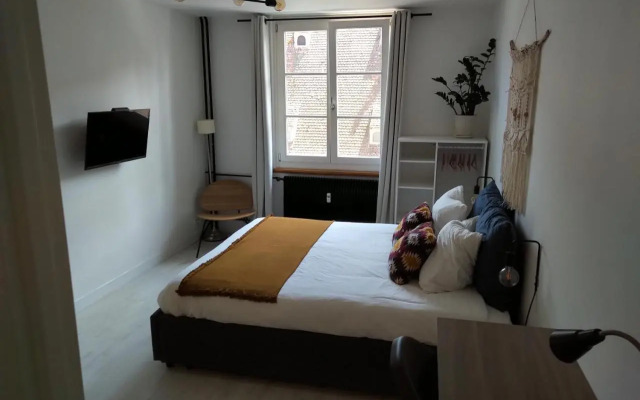 Appartement Spacieux et Cosy - Strasbourg Centre