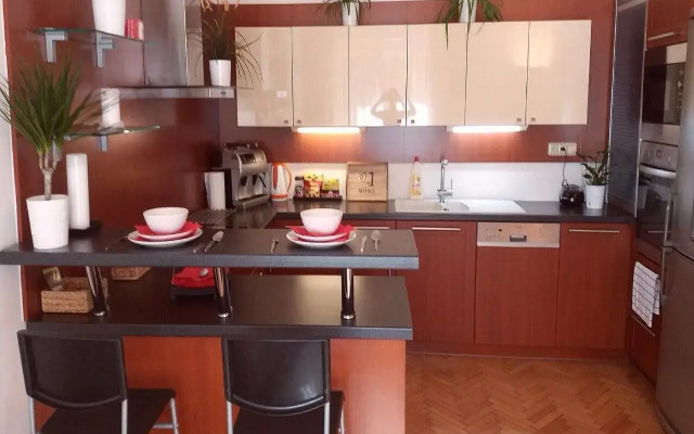 Spacious 3BDR Wenceslas Square