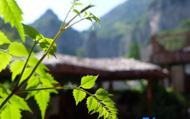 Yaqiu Courtyard Featured Hostel