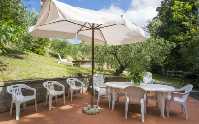 Locazione turistica Podere gli Olivi