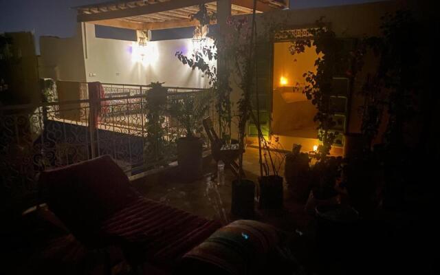 Paradis369