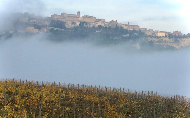 The Grapevine by MANVI