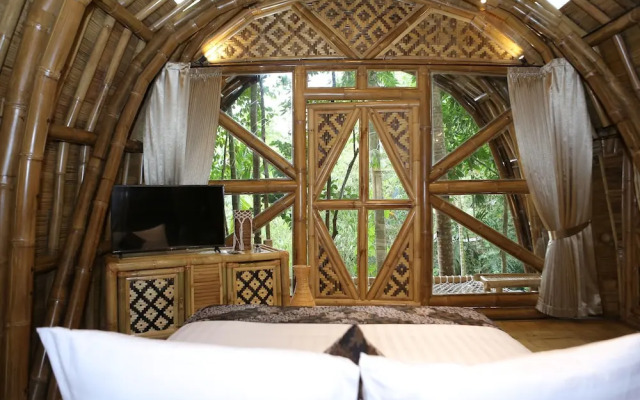 The Osing Bamboo - A Liberta Collection