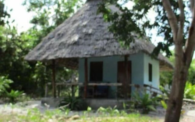Mangrove beach bungalows