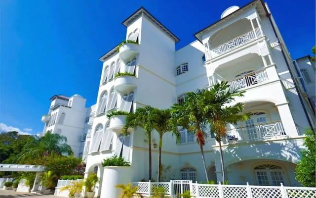 Old Trees 104 - Sunset