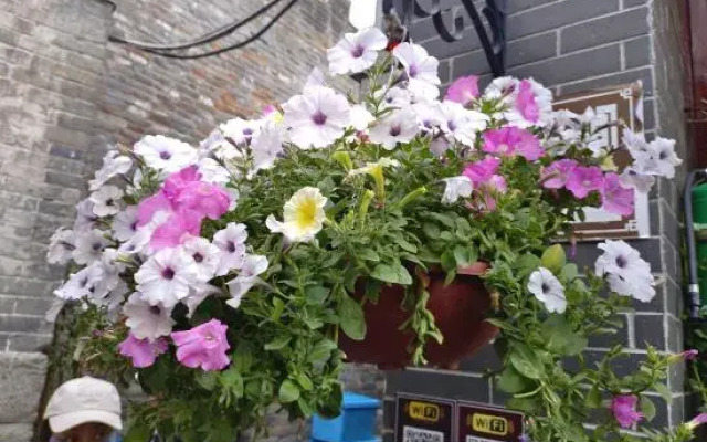 Shiquan Yicheng Homestay