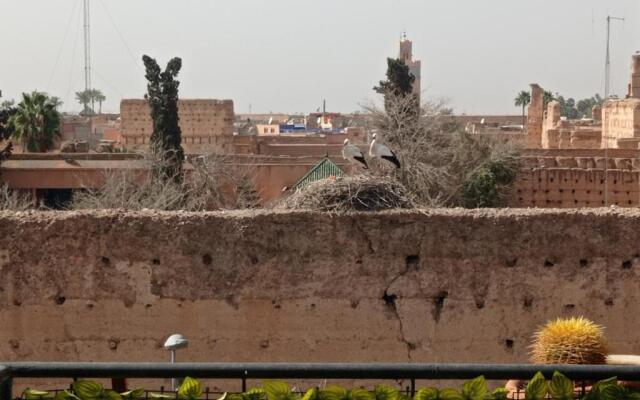 Stork Marrakech luxury Hostel