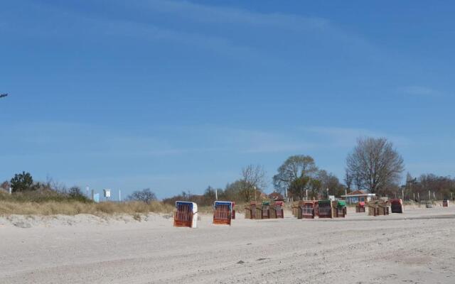Haylees Hus 2