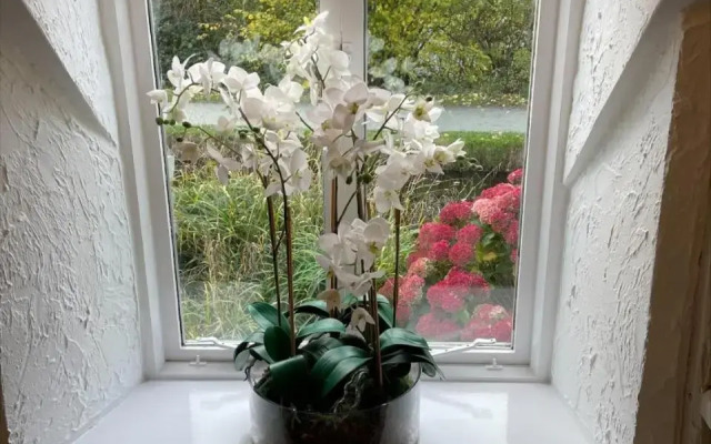 Penddol Cottage Llangollen