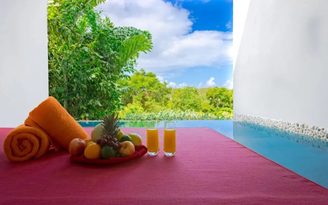 Escape at Nonsuch Bay Antigua-All Inclusive