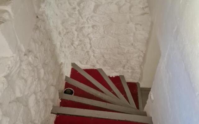 L'olivier et la lavande