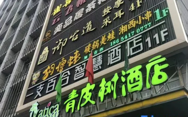 Lily Smart Hotel (Hefei 1912 Bar Street) – Exterior – Hefei