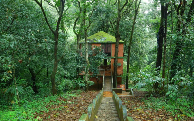 Vagamon Heights