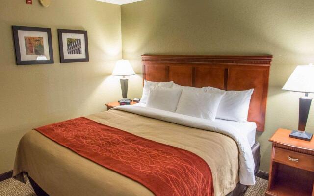 Comfort Inn Opelika - Auburn